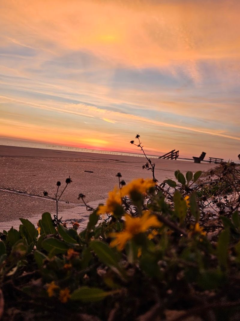 Sunsets At Henderson Point