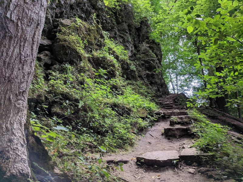 Trail Options for Every Kind of Hiker