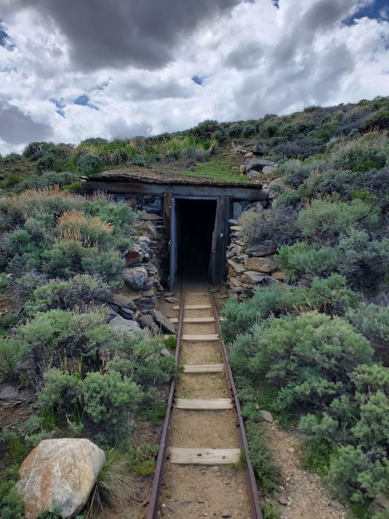 Hiking Trails Around Town