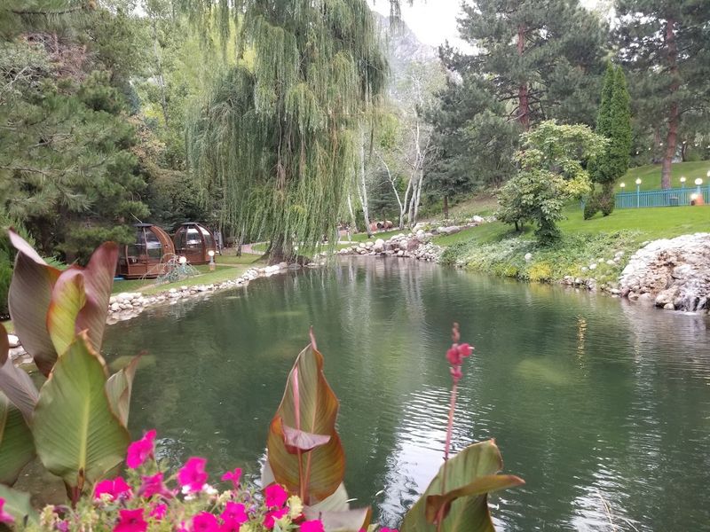 Peacocks, Swans, And Grounds That Beg To Be Explored
