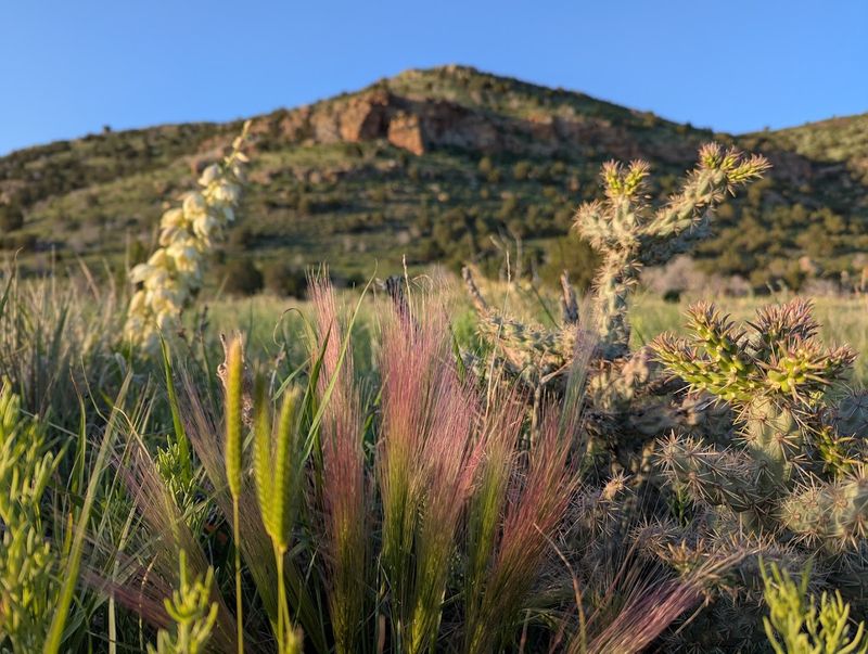 The Summit View
