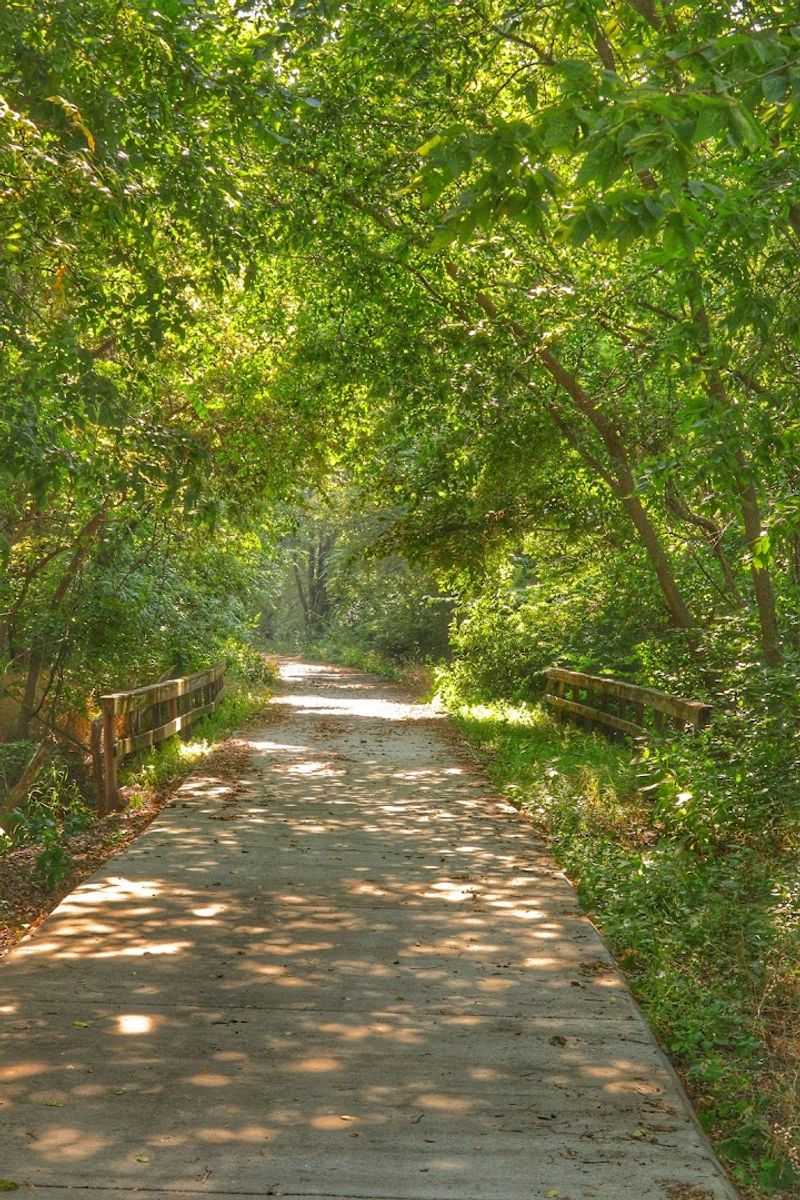 The Flint Hills Scenic Byway And Road Trips Worth Every Mile