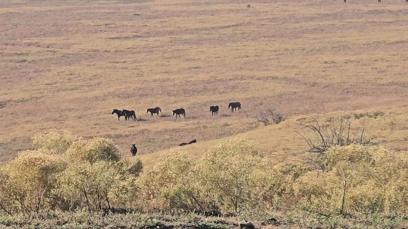 The Site Sits On Private Pasture Land, So Respectful Visiting Matters