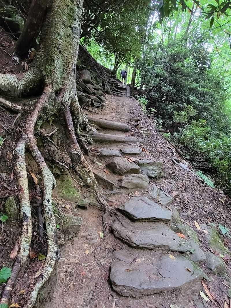 Gear Up Right Before You Hit The Trail