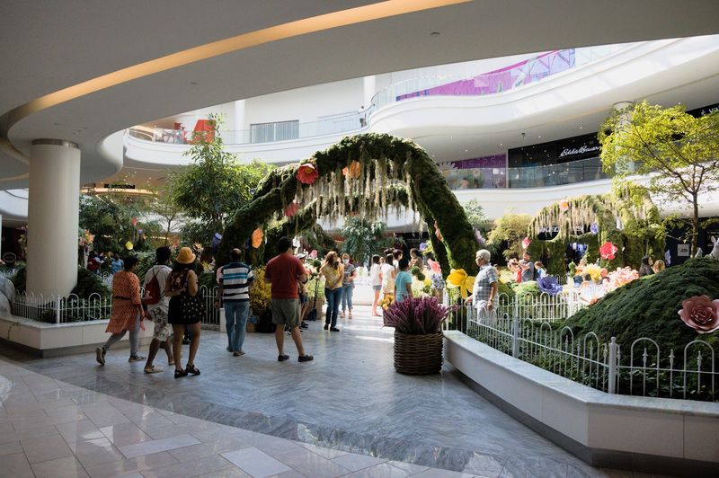Mega Screens, Daily Viewing Parties, And The Crowd Energy