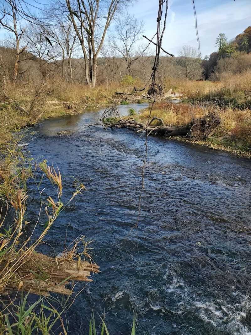 Trout Fishing on Paint Creek