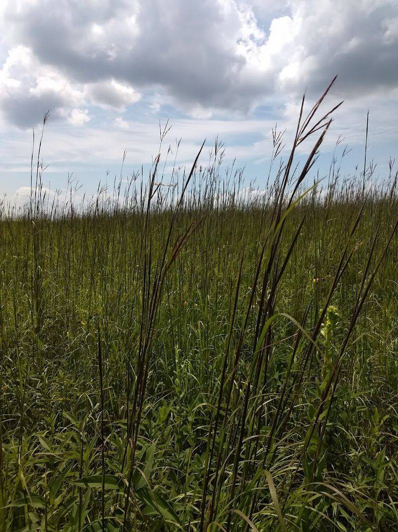 Hiking Trails Through Native Prairie
