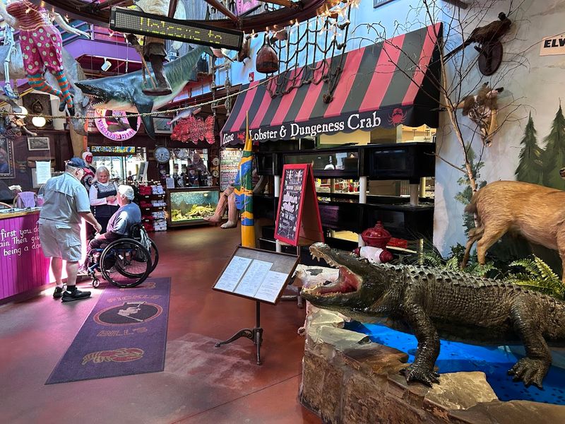 The Staff Here Turns First-Time Visitors Into Regulars Before The Check Even Arrives