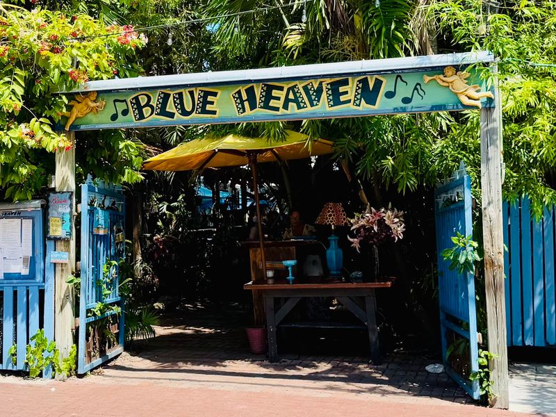 The First Lunch Served Under A Spanish Lime Tree