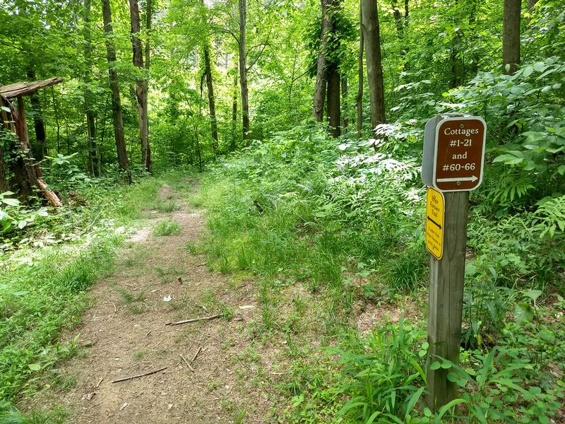 Trails That Range From Scenic Strolls To Full-On Adventures