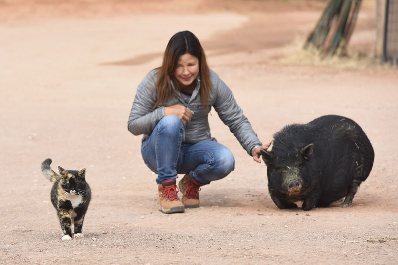 Over 1,000 Animals, Each With Its Own Story