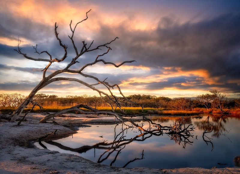 Driftwood Beach And The Shore That Stops People Cold
