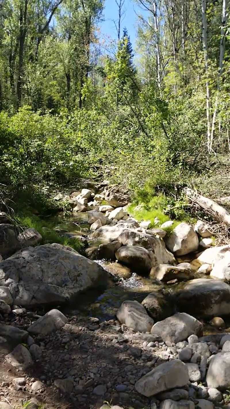 What Makes This Short Hike Punch Way Above Its Weight