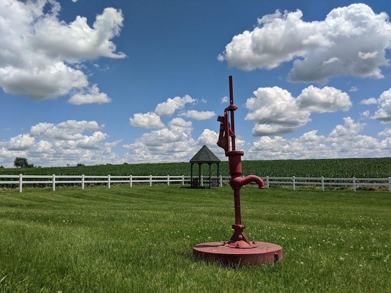 The Grounds and Outdoor Space