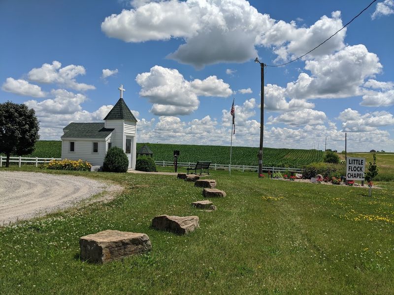 A Friendly Stop for Road Trippers and Their Dogs