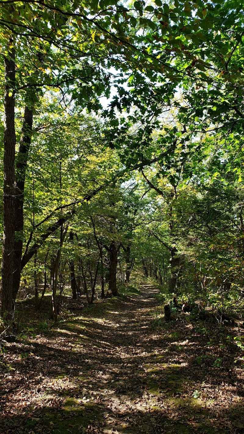 The Hiking Trails and What You Will Find on Them