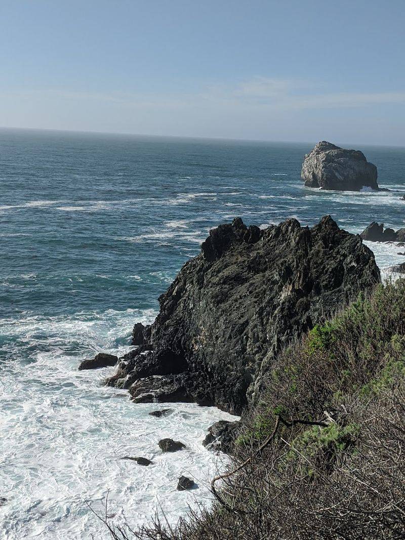 The Rocky Shore Below