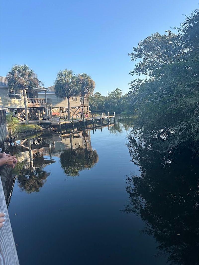 Feeding Turtles And Fish By The River