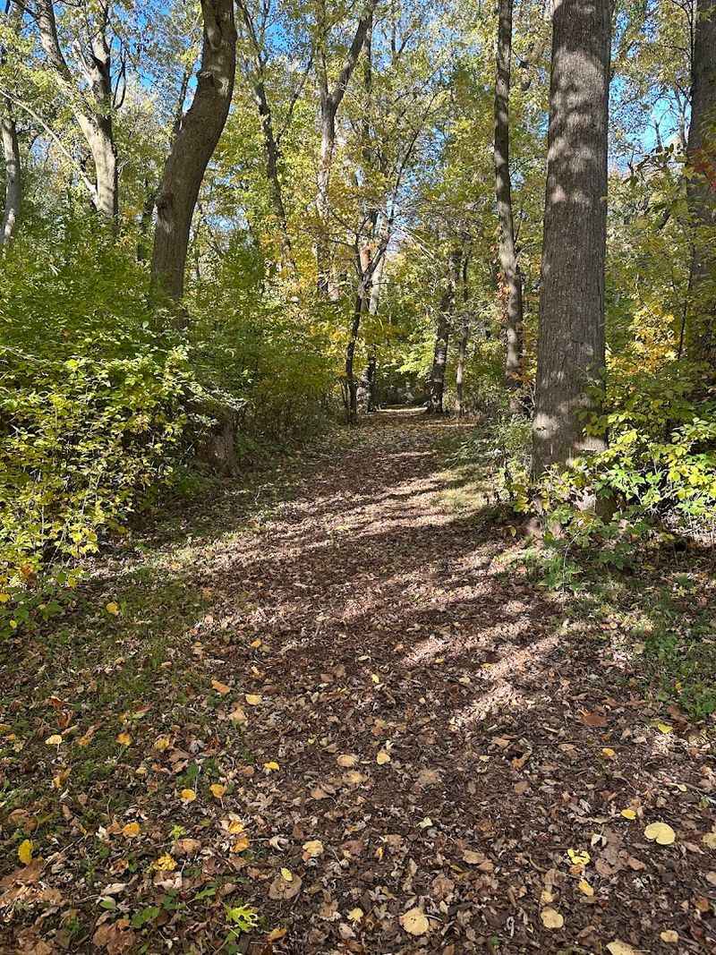 Hiking the Trail Around the Lake