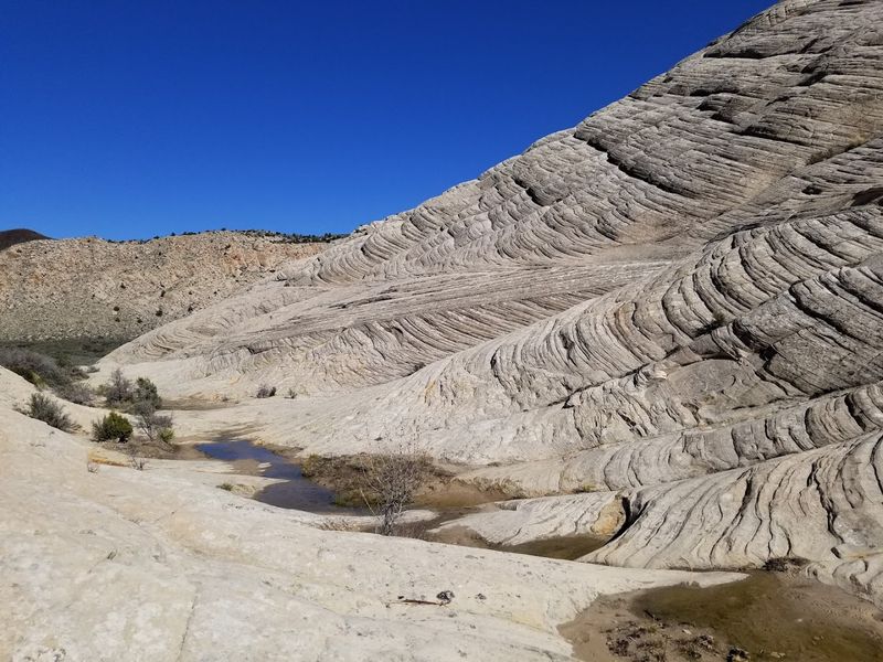 Petrified Dunes: Where The Desert Froze Mid-Motion