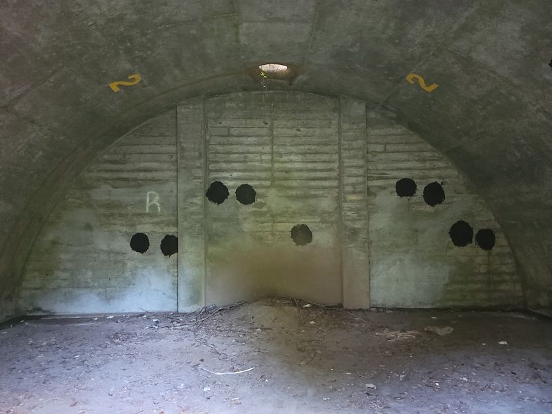 Bottomland Trail To The Bunkers