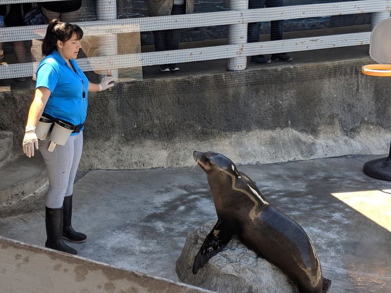 Family Fun At Ocean World