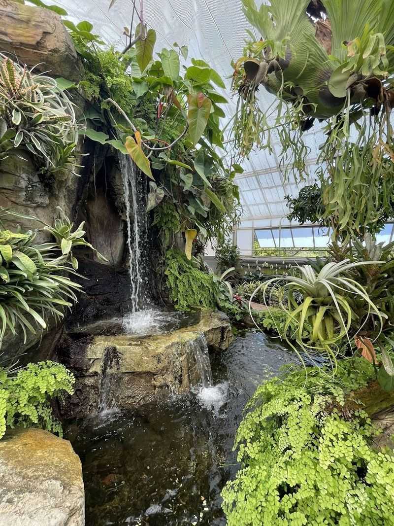 Conservatory Of The Two Sisters: Humidity And History
