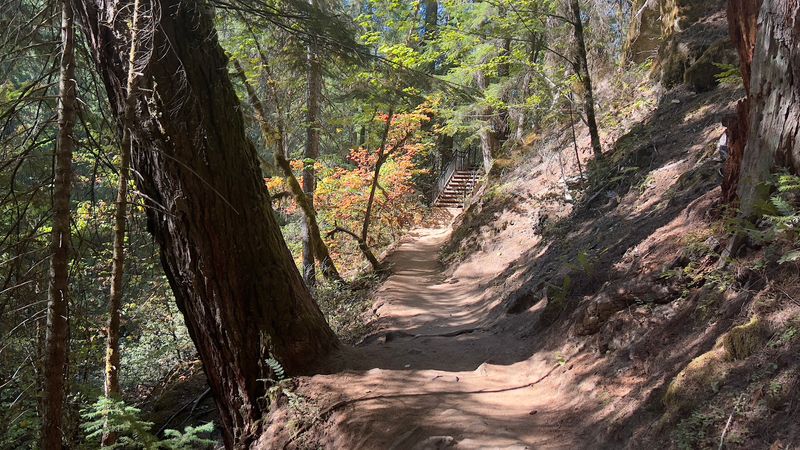 The Trail Itself