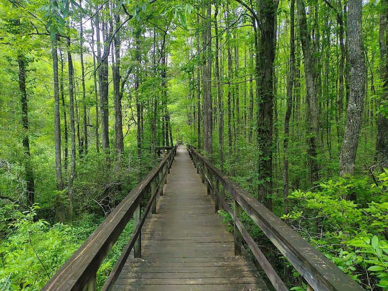 Wildlife And Natural Scenery Make Every Visit Memorable