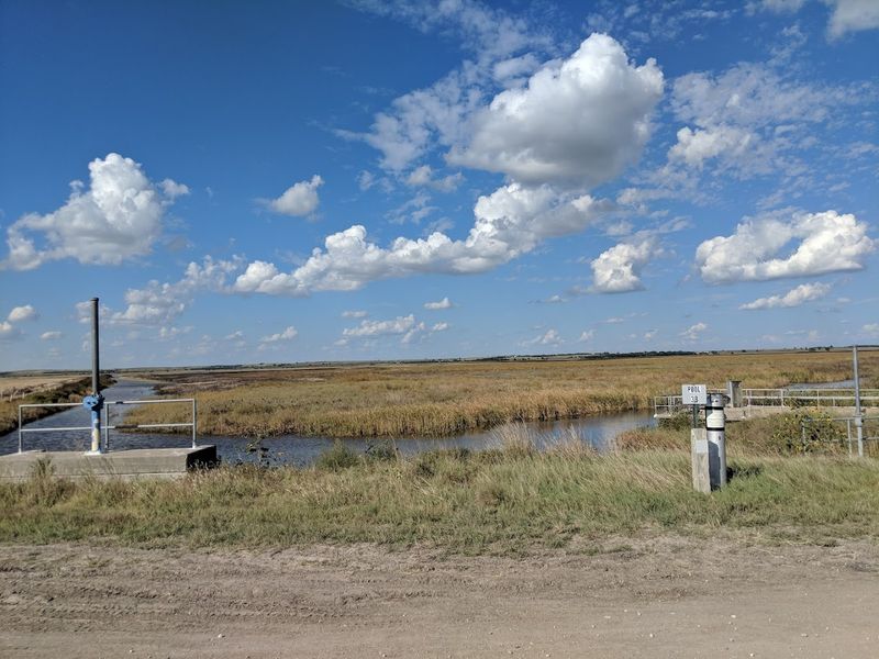 How Water Management Keeps The Marsh Alive