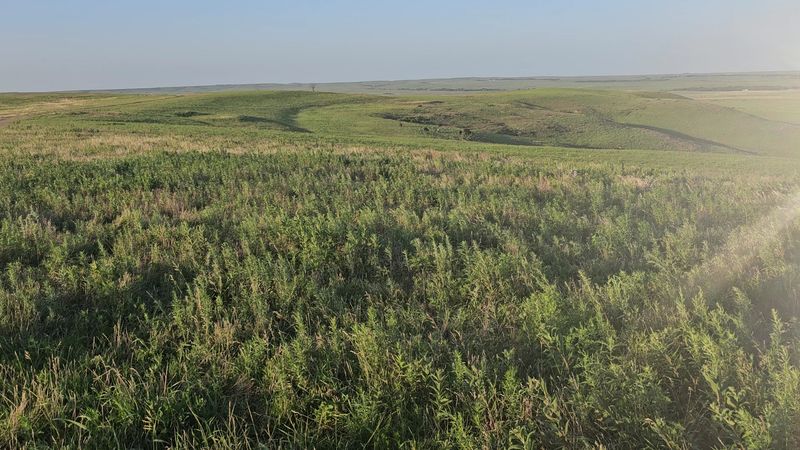 Tallgrass Prairie Burning Is A Centuries-Old Practice Still Used Here Today