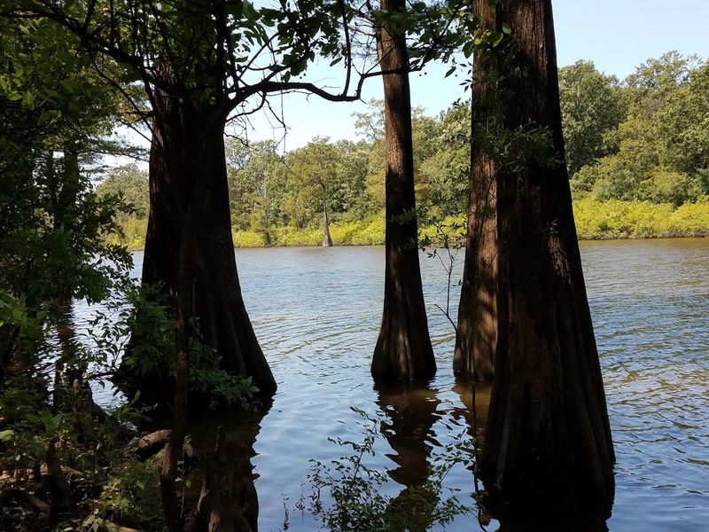 Camping Where Cell Service Goes To Rest