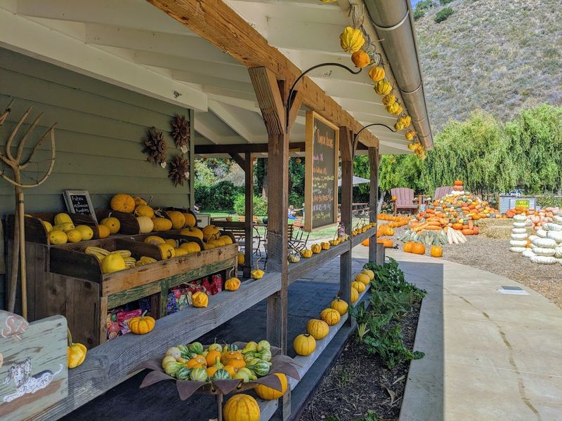 Finding The Farm Stand Along Carmel Valley Road