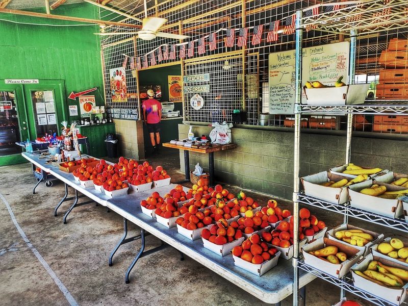 Peaches Share The Table With Blackberries, Plums, And Summer Vegetables