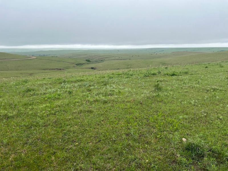 The Geology Under Your Feet: Why Flint Hills Exist at All