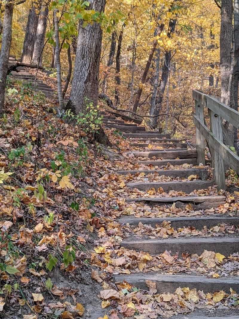 Hiking Trails for Every Fitness Level