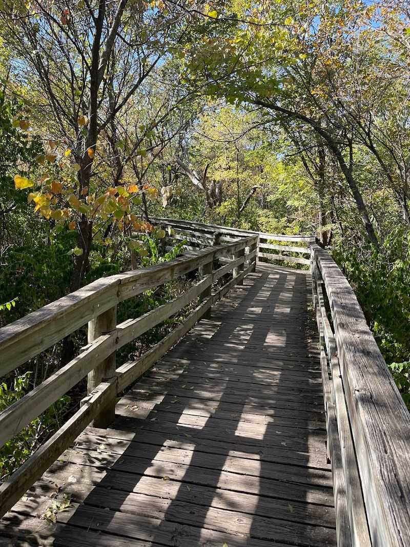 The Trail System Around It Is Surprisingly Extensive