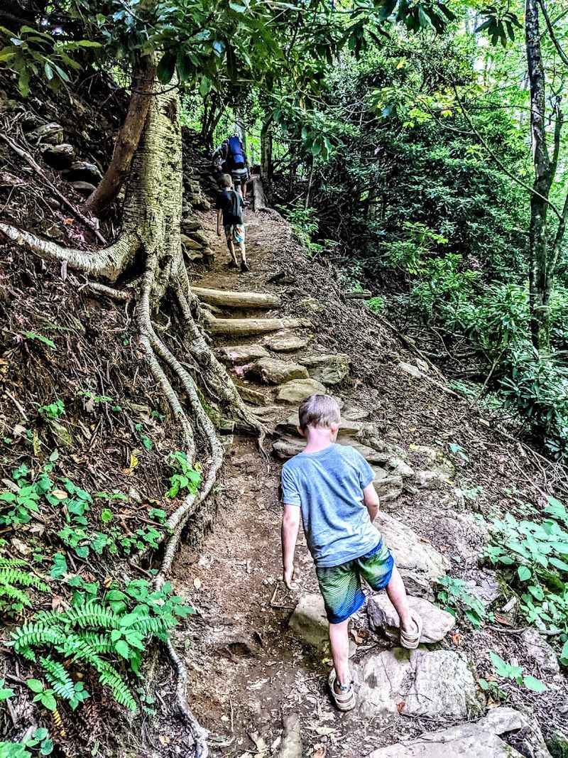 What The Trail Looks Like Before You Even Get There