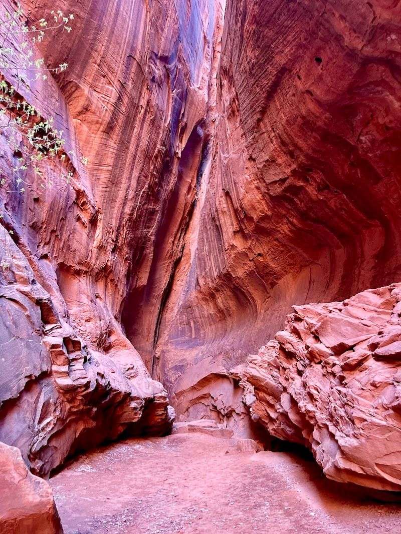 Arriving in Long Canyon: The Moment the Walls Close In