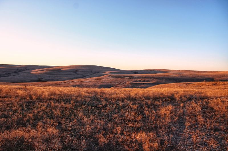 Every Season Brings Something Different And Worth Seeing To This Prairie