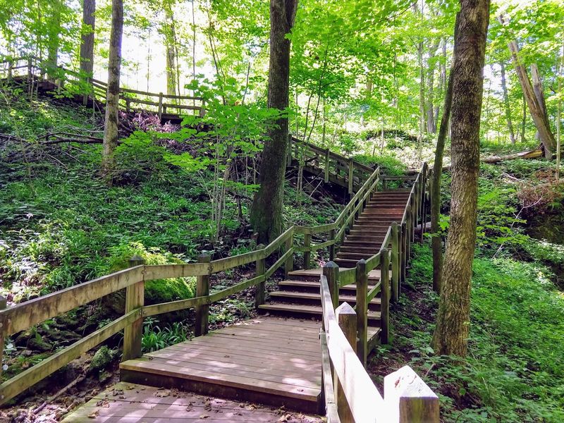The Trail System and How to Navigate It Without Getting Confused