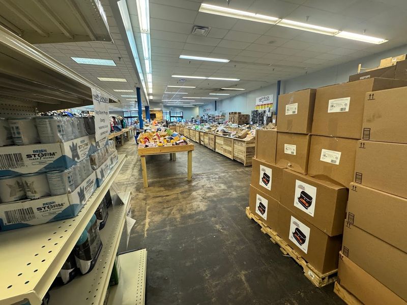 Why Resellers And Flippers Love Bin Mania
