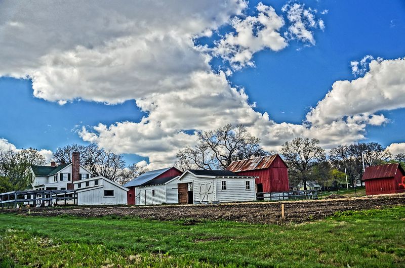 The Recreated Farm And Real Livestock