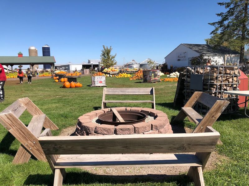 More Than 40 Activities on the Property