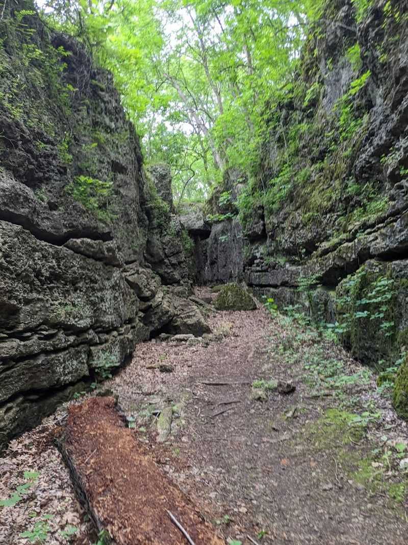 The Wild and Scenic Elk River Trail
