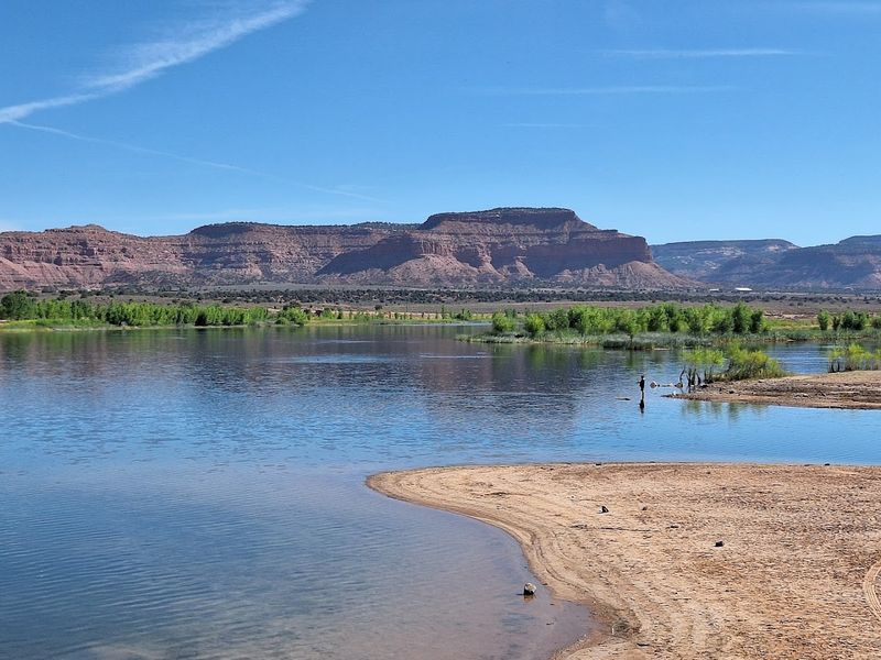 Alstrom Point And The Lake Powell Views