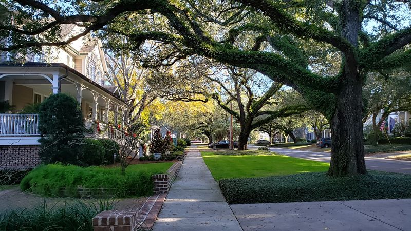 Walking Tours Worth Taking