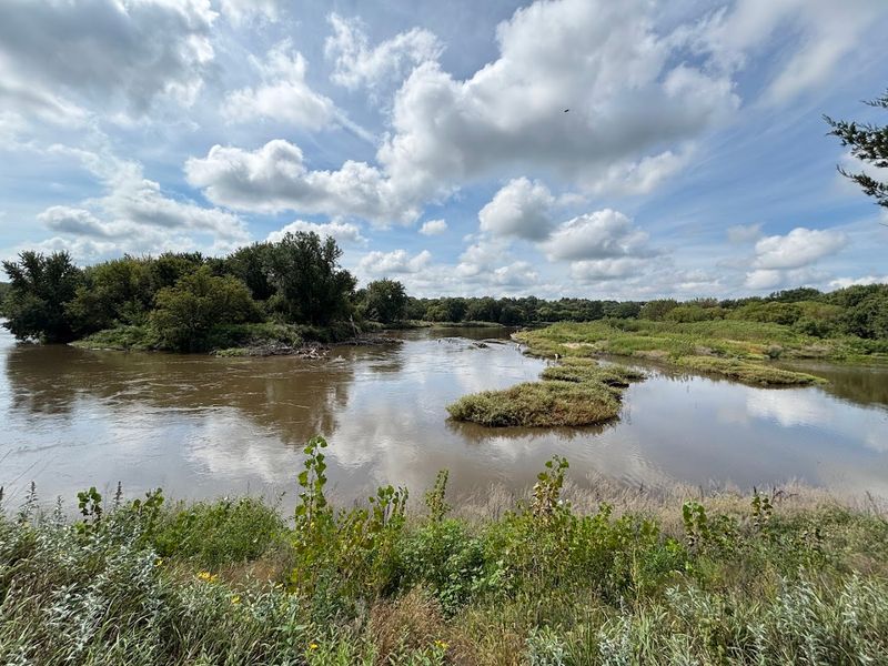 Prairie Wildlife and What You Might Actually See