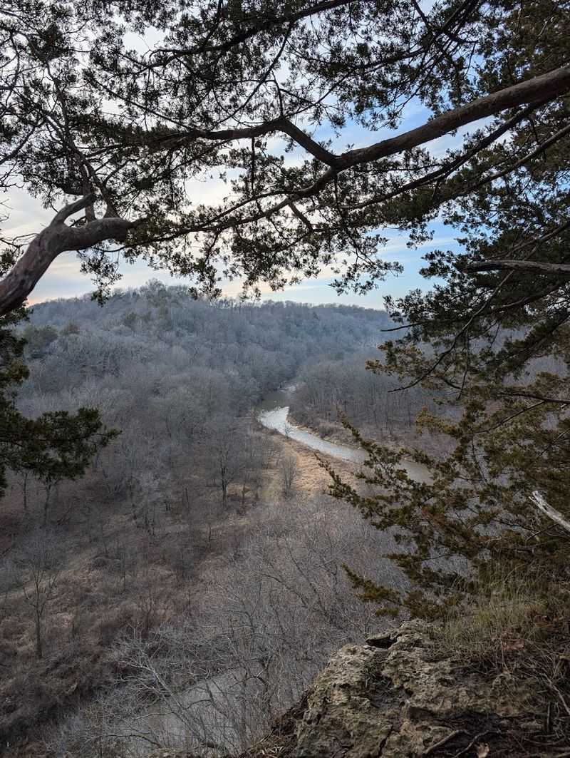 The Canyon Overlook View