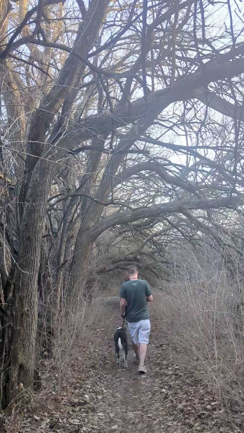 No Dogs Allowed On This Particular Trail
